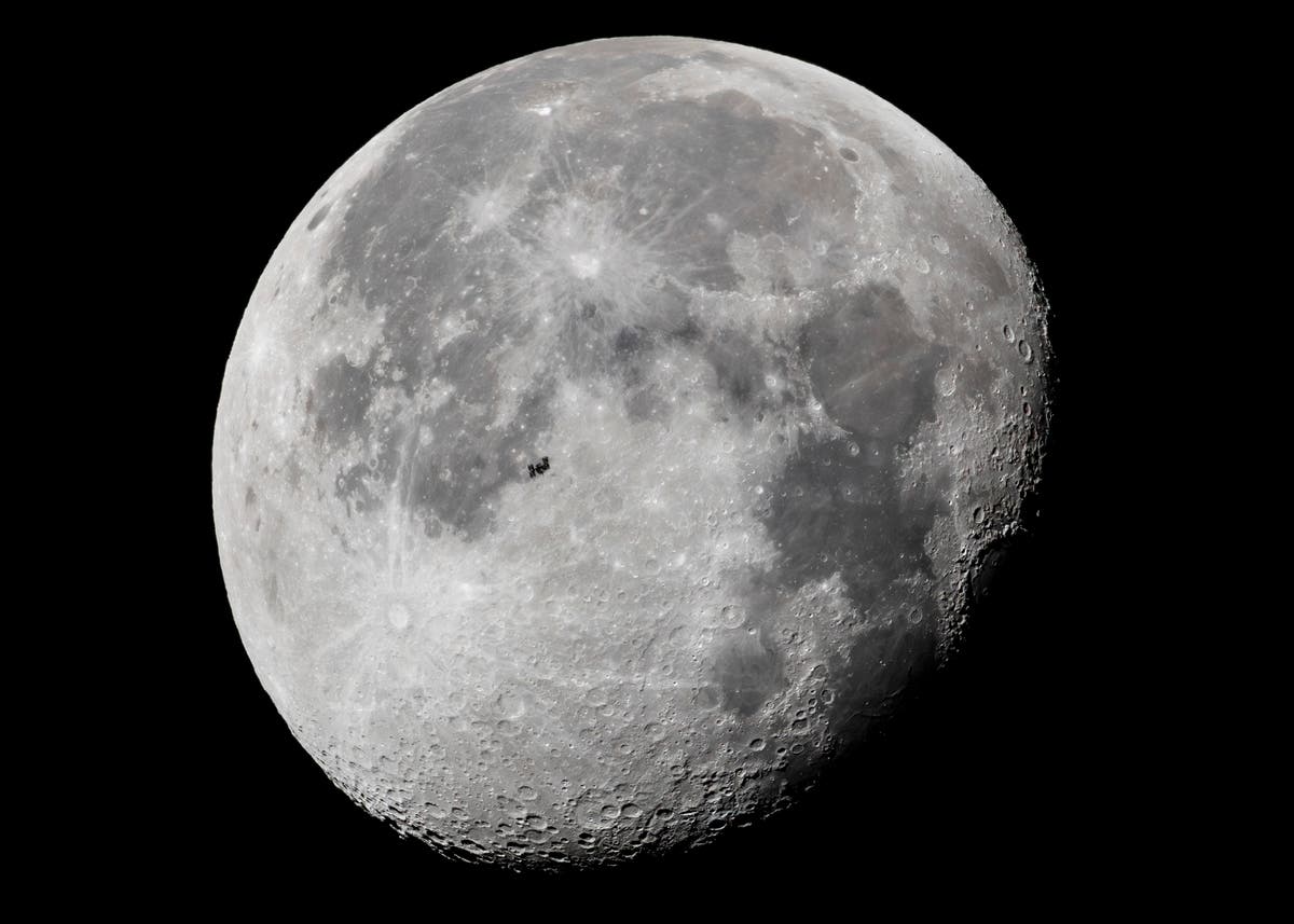 "Bacterial Farming: Transforming the Moon into a Lunar Colony's Food Source"