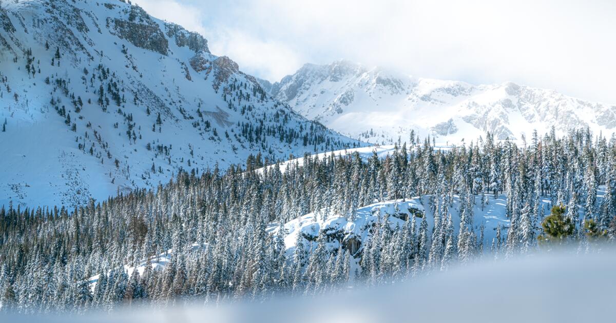 "California's Water Outlook Improves as Storms Ease 'Snow Drought'"