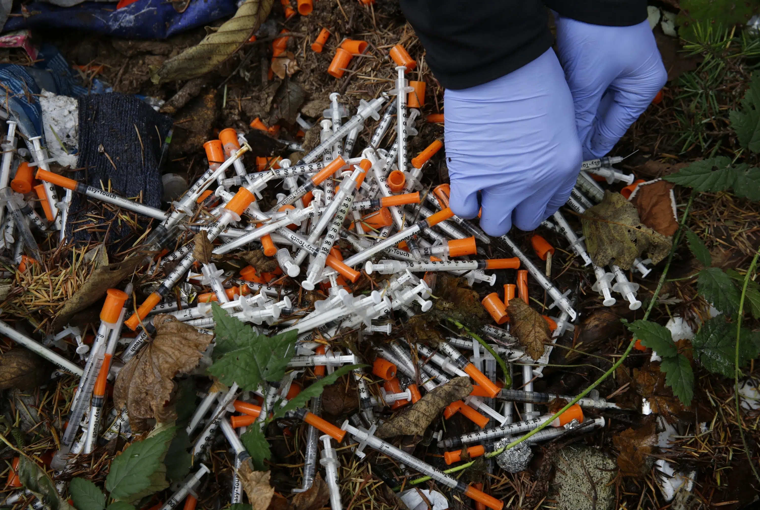 Washington State to Decriminalize Drugs with or without Lawmakers' Action