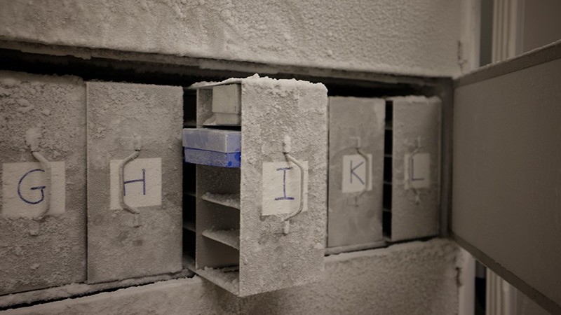 Featured image for Scientists Launch Microbial Noah's Ark to Preserve Earth's Microbial Heritage