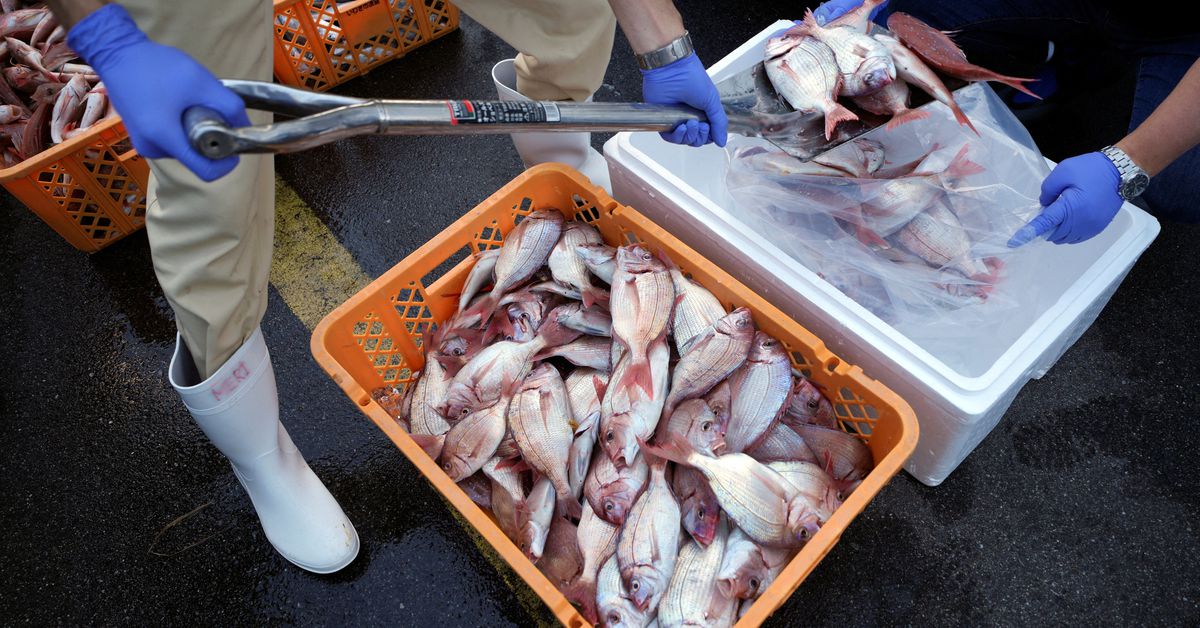 G7 Urges Repeal of Bans on Japanese Food, Stresses Unity and Strong Supply Chains