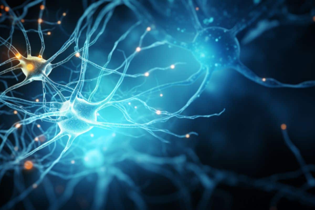 "Multiple Sclerosis Drug Repurposed as Promising Alzheimer's Therapy"