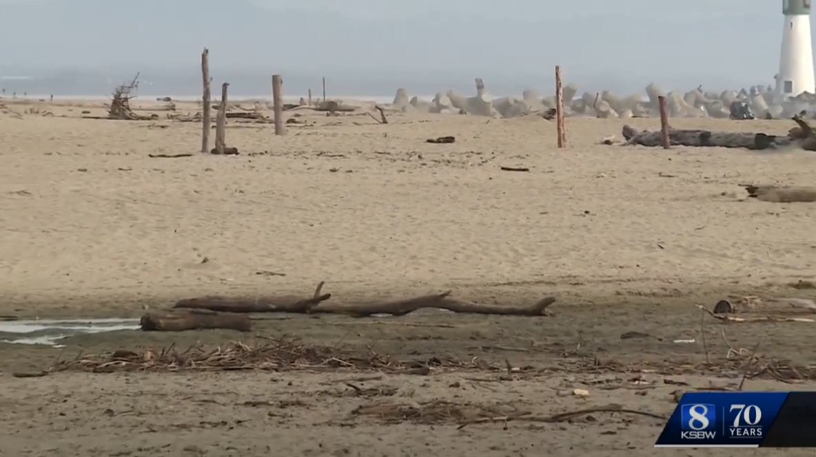 Featured image for UC Santa Cruz Student Killed by Ex-Boyfriend on Seabright Beach