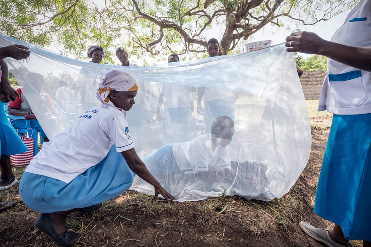 WHO recommends new insecticide-treated nets to prevent zoonotic malaria.