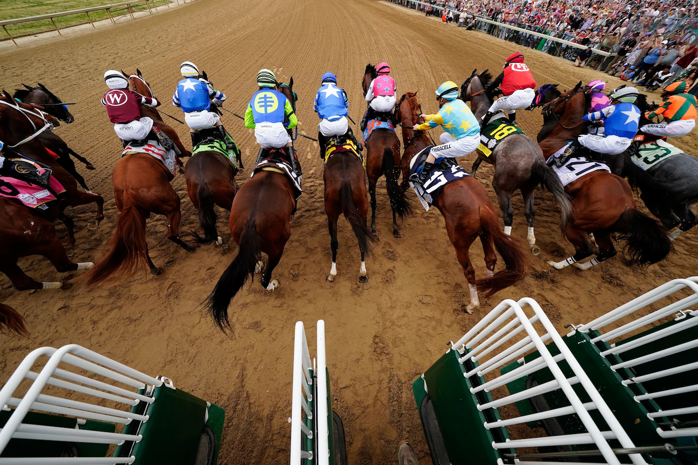 Kentucky Derby's Horse Deaths Spark Safety Concerns.
