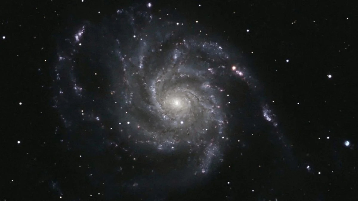 Don't Miss the Spectacular Supernova Show: Livestream or Observe Online!