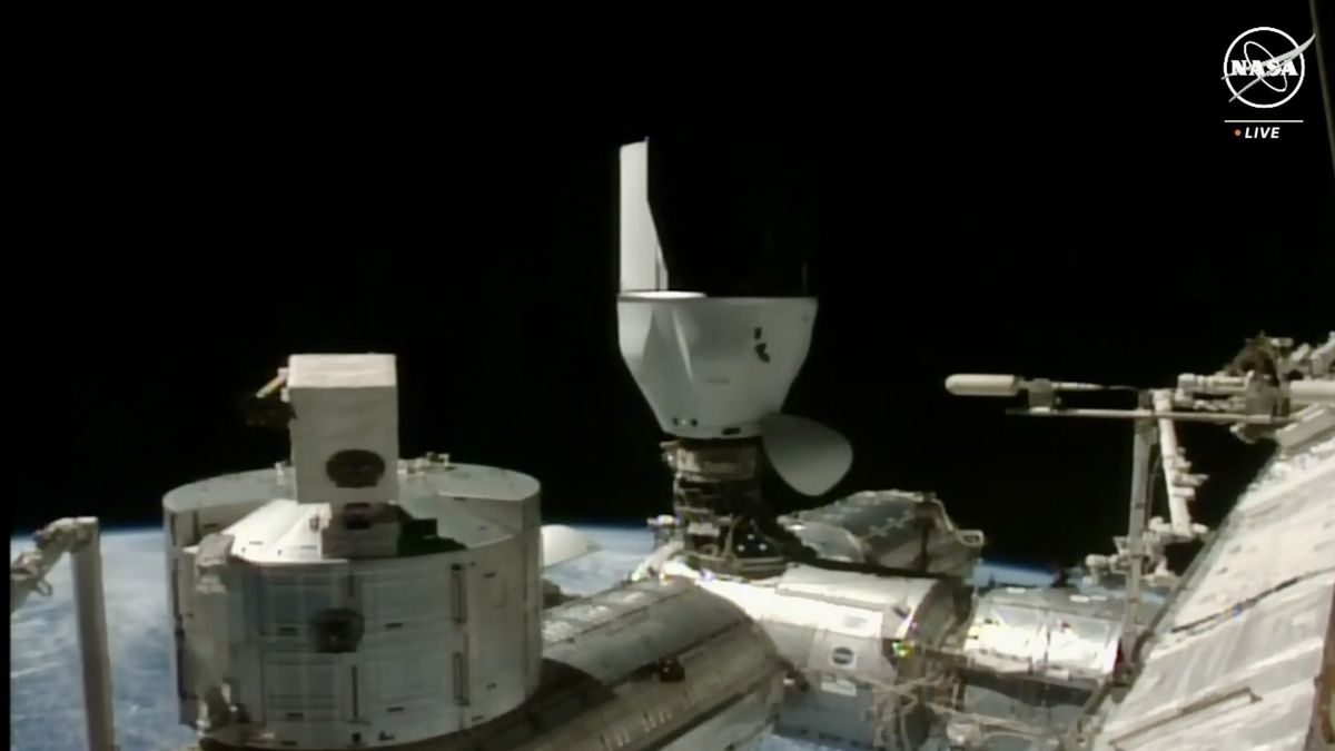 Featured image for SpaceX Dragon Delivers Supplies and Holiday Cheer to ISS