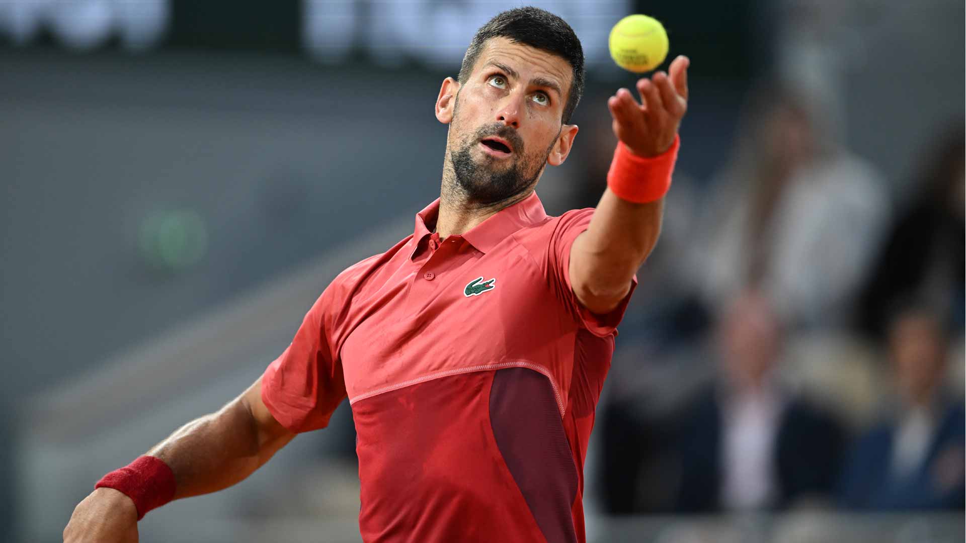 Novak Djokovic Eyes Quick Return After Successful Knee Surgery