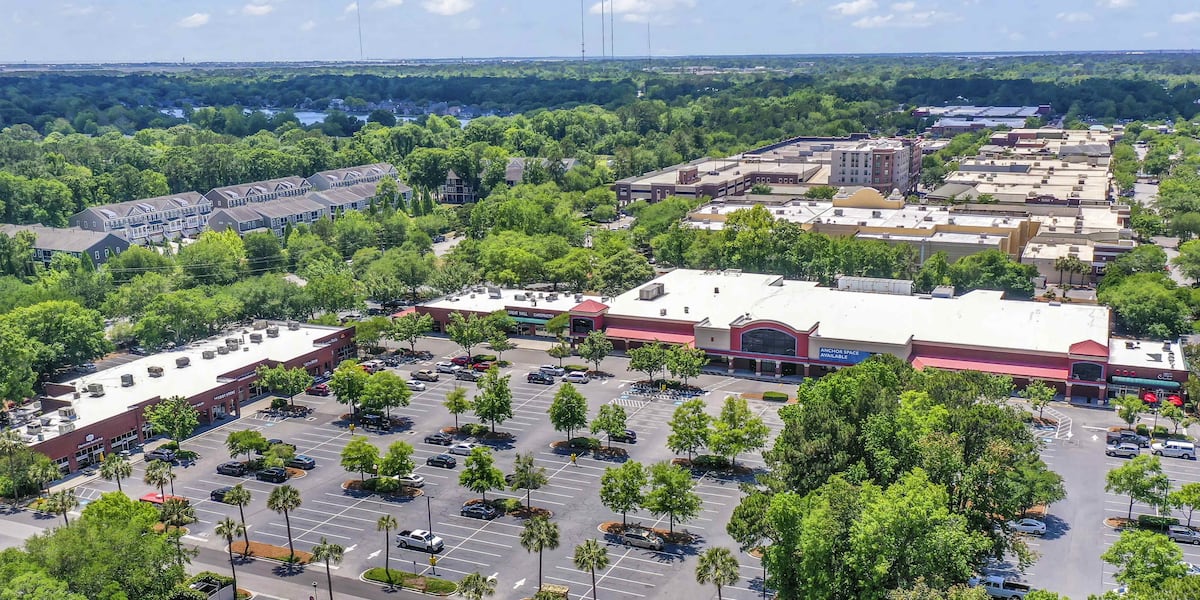Featured image for Trader Joe’s Expands to Mount Pleasant