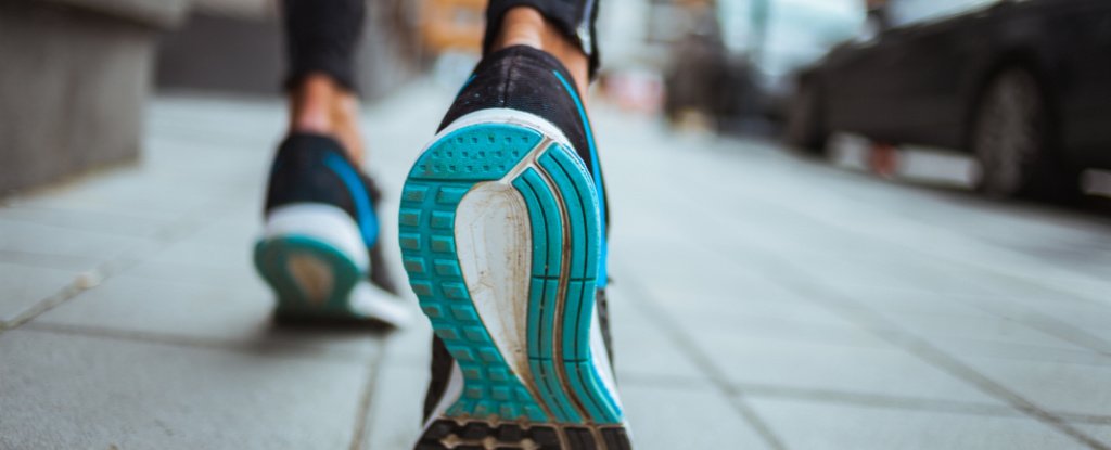 "The Truth About Walking 10,000 Steps Daily for Longevity"