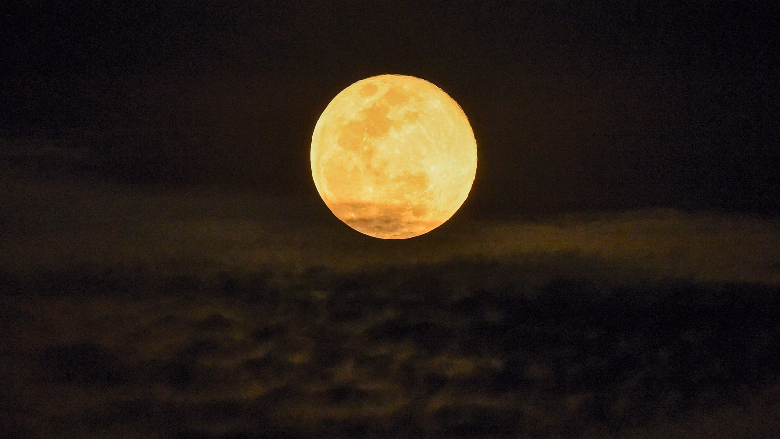 Featured image for Astrological Insights for November 20-21, 2024