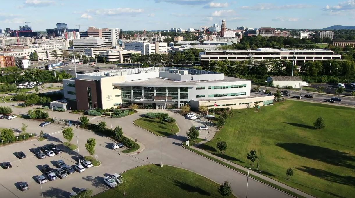 Featured image for Syphilis Cases Surge Across Multiple States, Prompting Health Concerns