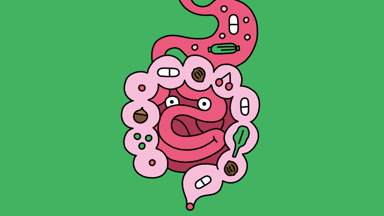Probiotics: Effectiveness and Potential in Long Covid Treatment