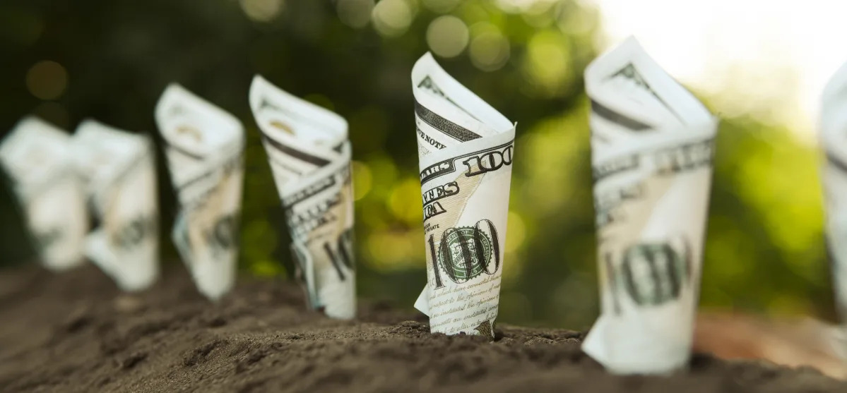 Top High-Yield Dividend Stocks to Buy Now