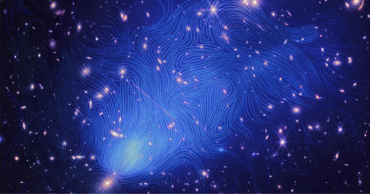 "Unveiling the Universe's Largest Magnetic Fields Through Radio Maps"