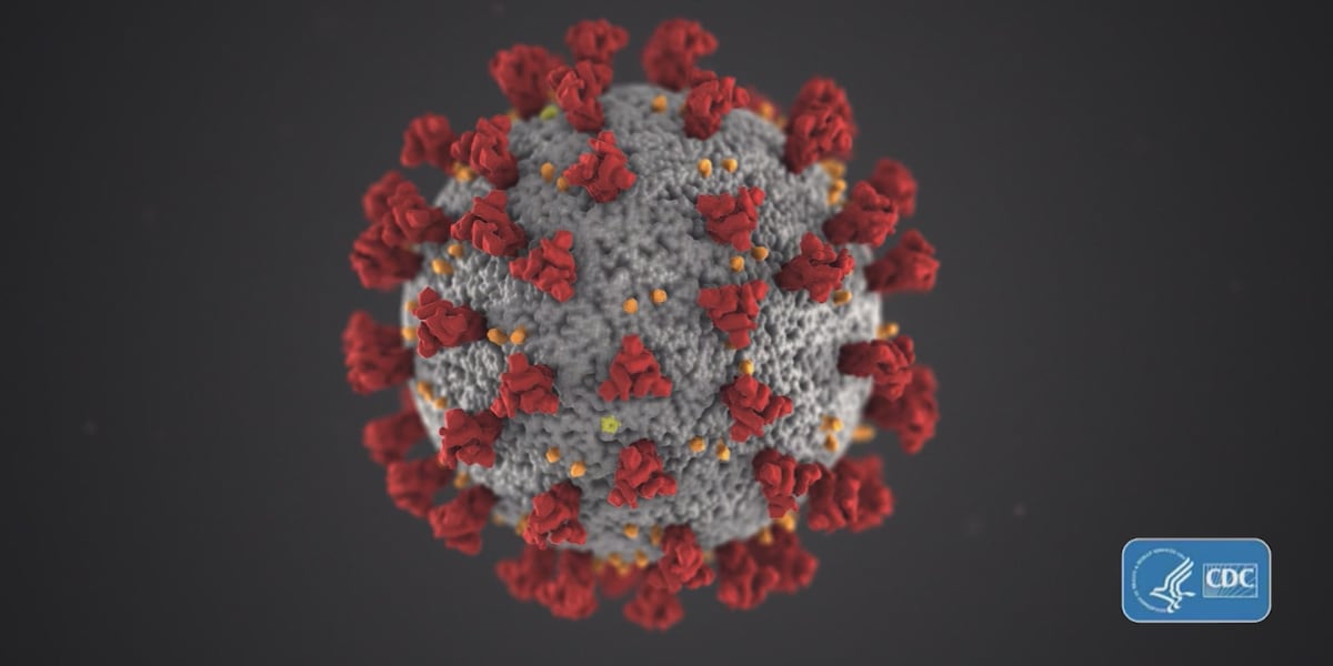 Featured image for Surge in COVID-19 Cases Sparks Concern Among Health Experts