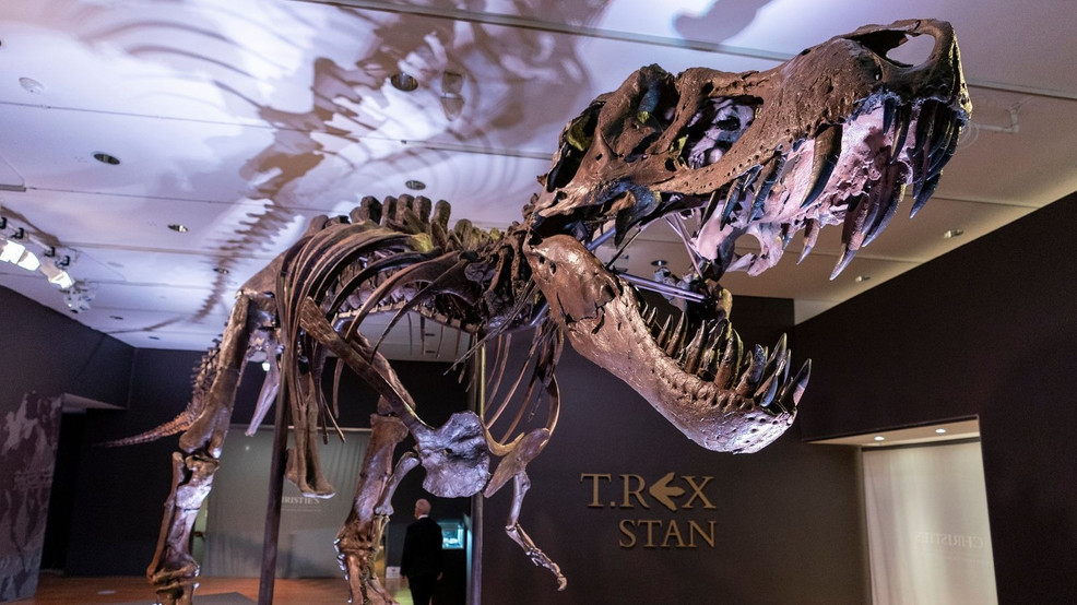"The Mystery of Maine's Missing Dinosaur Fossils"