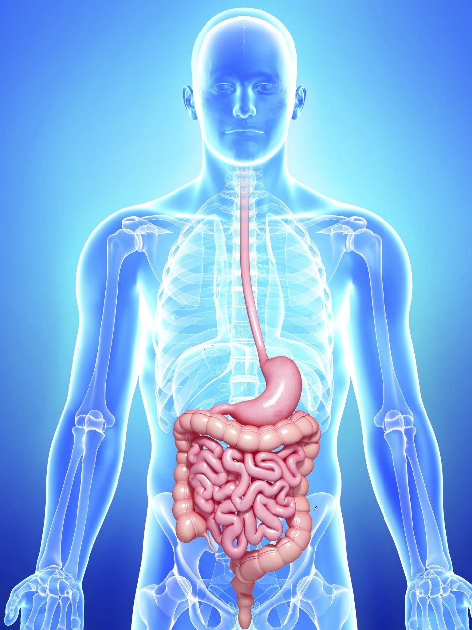 Featured image for "Boost Digestive Health with 8 Indian Fermented Drinks in 14 Days"