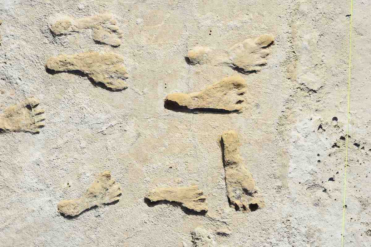 Featured image for Ancient Footprints Unearthed in North America, Dating Back 20,000+ Years