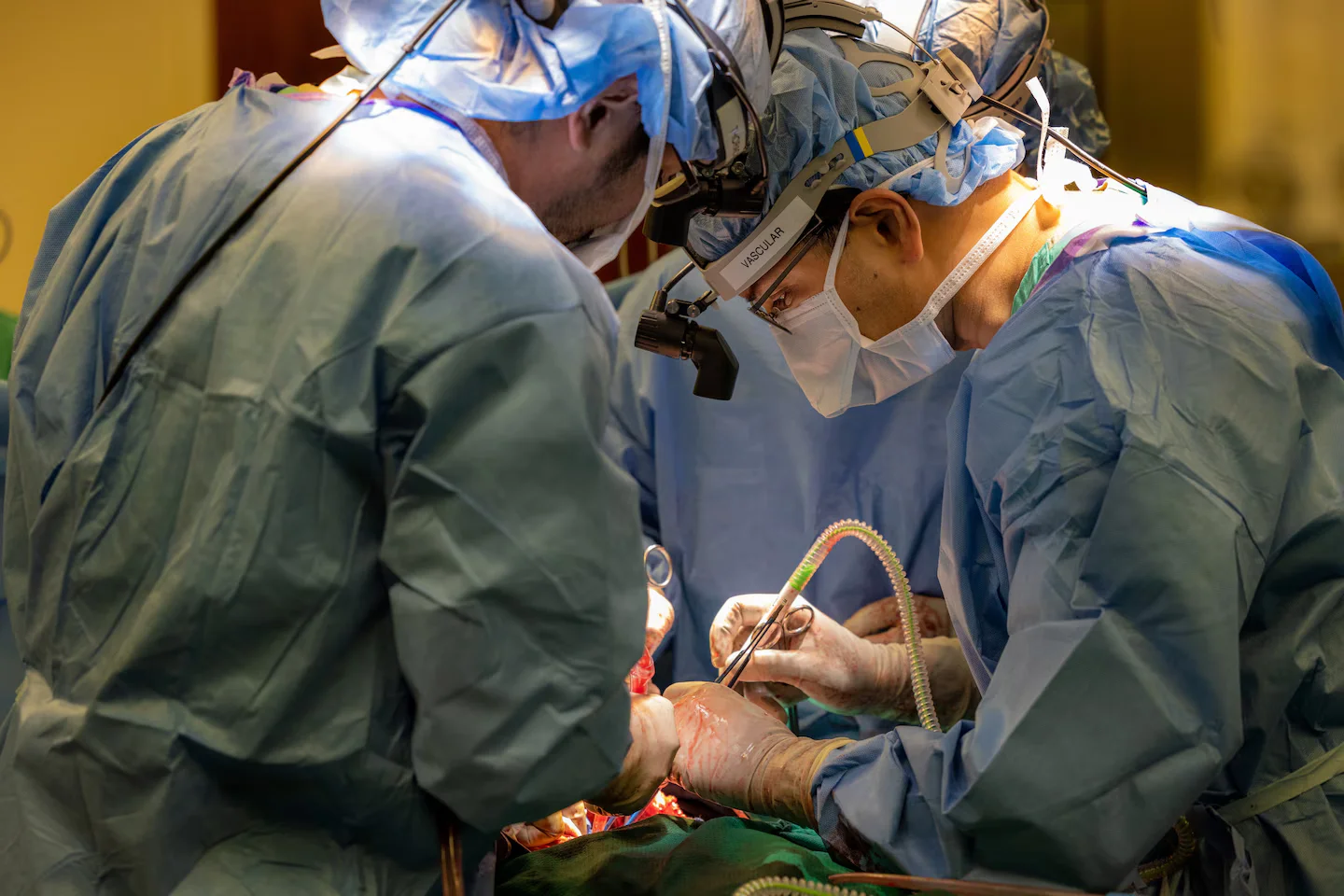 Artificial lung bridges patient with liquefied lungs to transplant