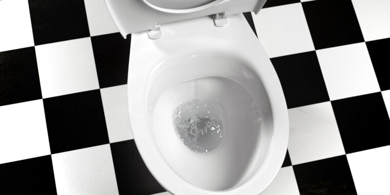 "The Lid Debate: Does Flushing with the Toilet Lid Up or Down Affect Viral Contamination?"