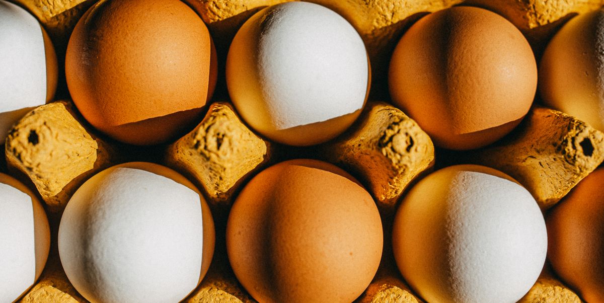 Featured image for The Risks and Signs of Eating Too Much Protein