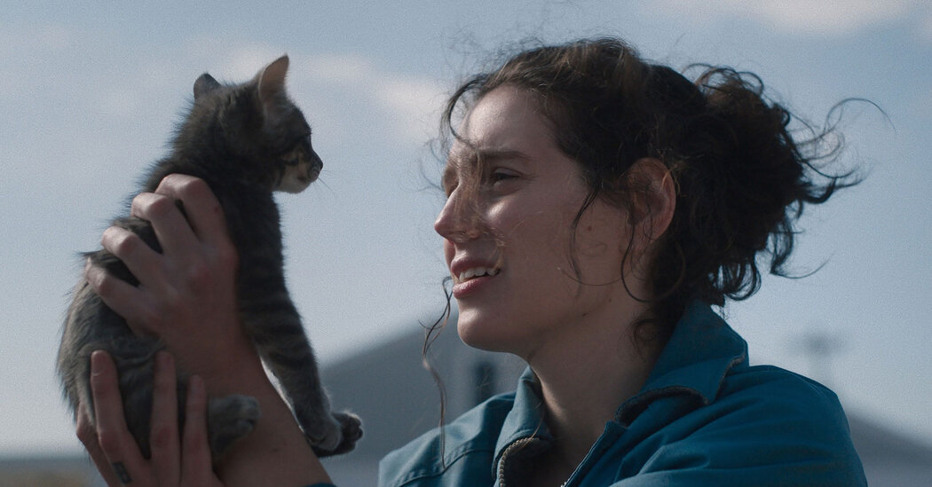 Featured image for Eva Victor's 'Sorry, Baby' Explores Healing and Humanity