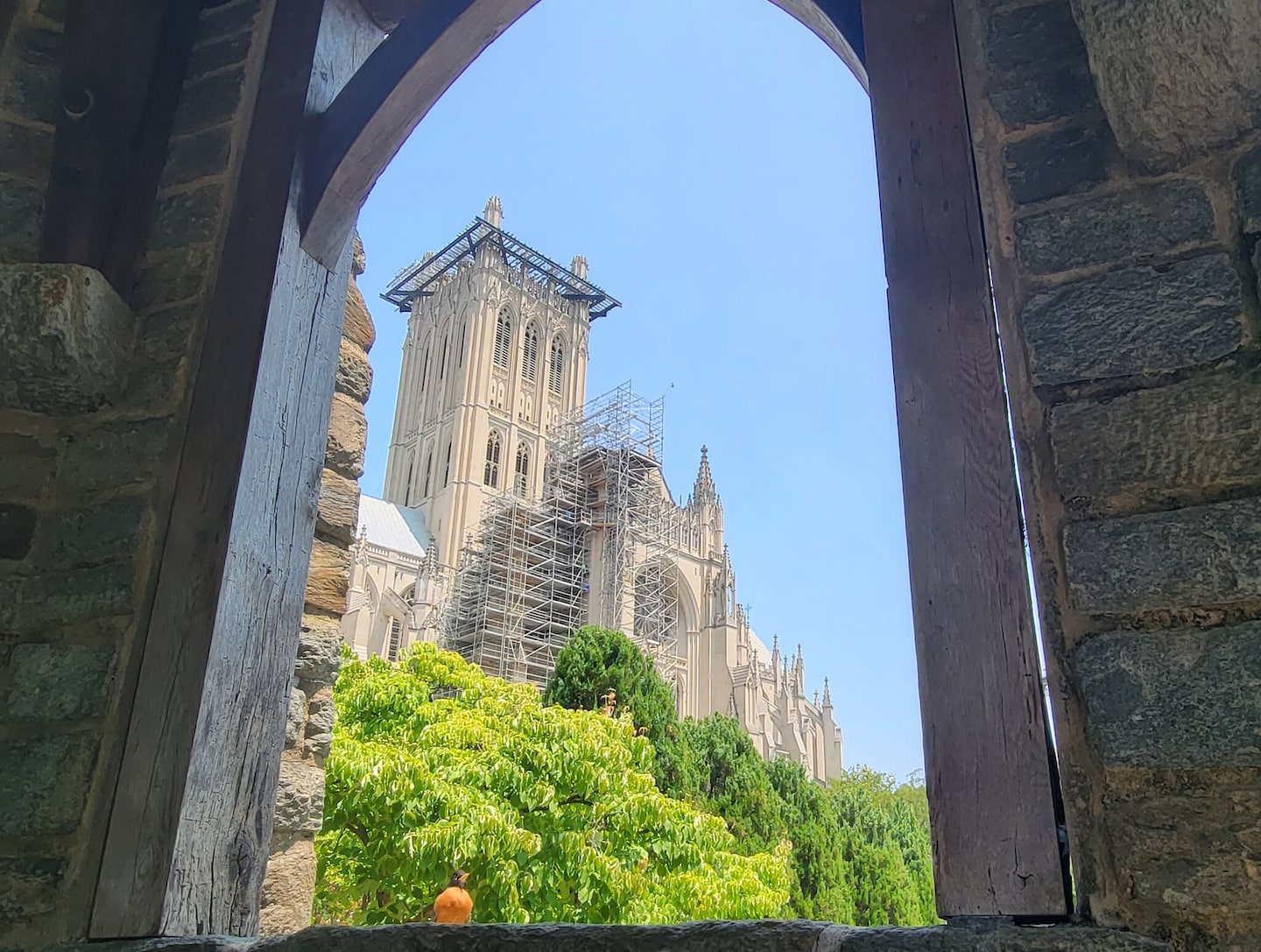 Featured image for Weather Update: Scattered Showers and Storms Expected with Heat and Humidity Moving In.