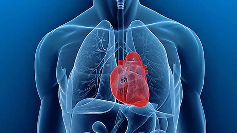 Featured image for Managing Cardiovascular Disease Through Cholesterol Reduction.