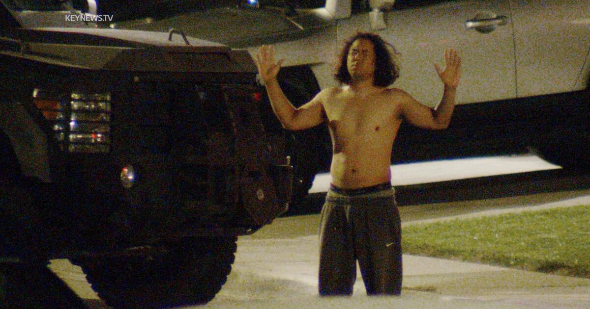 Tragic Loss: Suspect's Troubled Past Revealed in Killing of LA Deputy