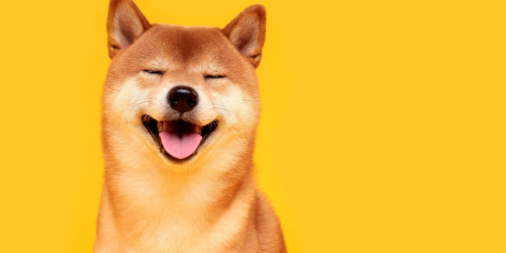 Elon Musk's Twitter antics fuel Dogecoin frenzy and legal battles.
