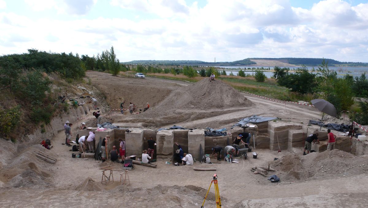 Featured image for Neanderthals' 125,000-Year-Old Bone Grease Processing Site Revealed