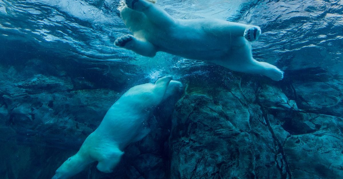 "Crypto Market Volatility: Bitcoin Slides Below $40K, Traders Await Sub-$40K"
