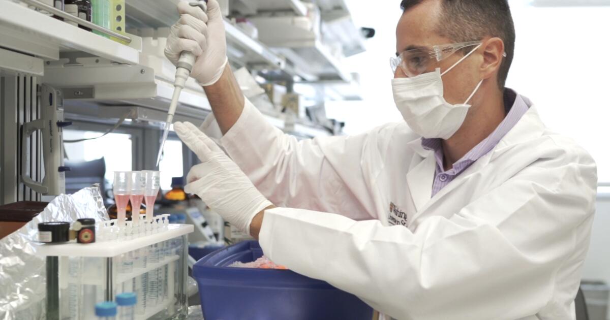 "Unveiling the Alzheimer's Diagnosis Plan for Asymptomatic Individuals: Who Stands to Gain?"