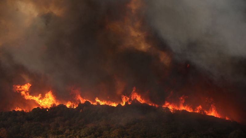 "Raging Wildfires in Greece: Arrests Made, Anger Grows, and Tragic Discovery in Evros Forest"