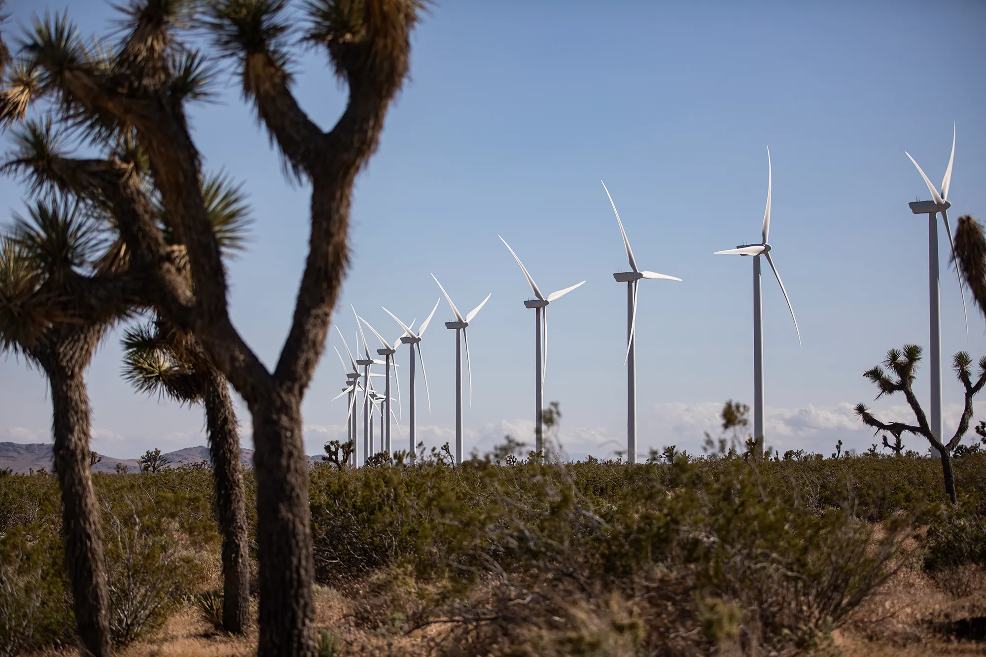 Featured image for U.S. energy policies face new challenges and rising costs amid political shifts