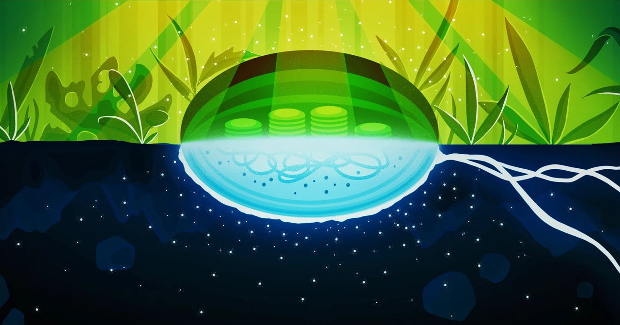 Featured image for Unveiling the Mystery of Cellular 'Dark Oxygen' Production