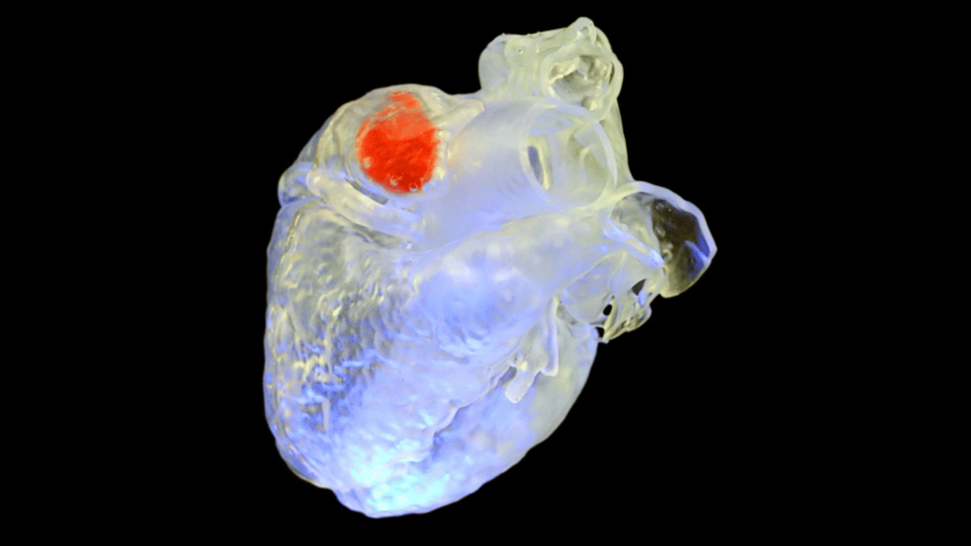 Featured image for Revolutionary Sound-Based 3D Printing: Repairing Bones and Organs Inside the Body