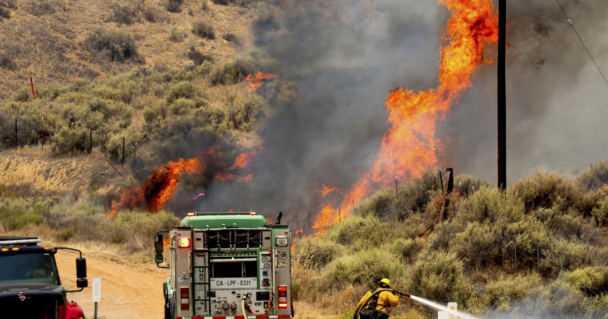Featured image for Madre Fire Becomes California's Largest Wildfire of the Year at Nearly 80,000 Acres
