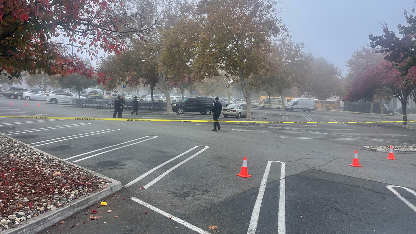 Featured image for Tragic Accident: Woman Fatally Struck in Foggy Walmart Parking Lot