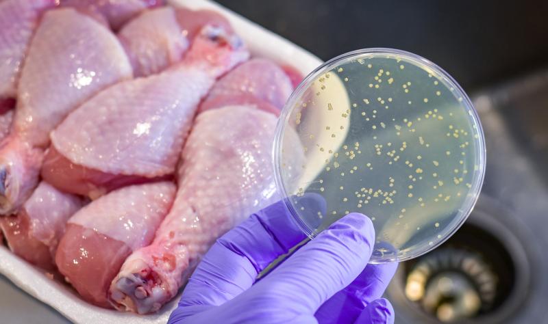 Featured image for CDC Reduces Foodborne Illness Surveillance Amid Funding Cuts