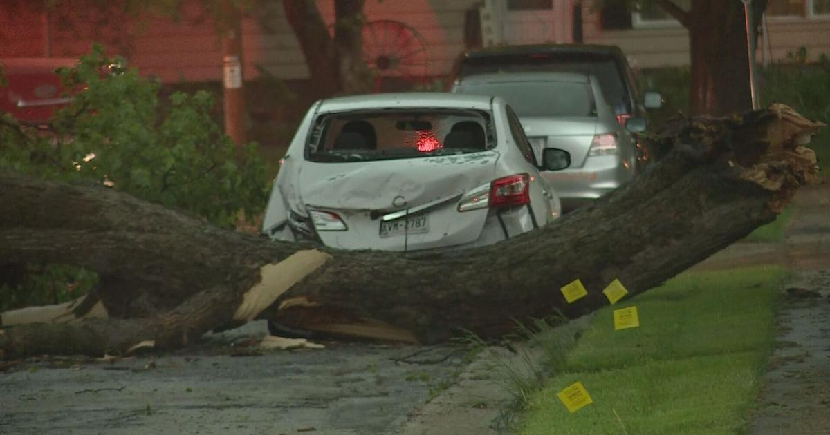 Featured image for "Power Restored to Most MGE Customers After Tornadoes Hit Wisconsin"