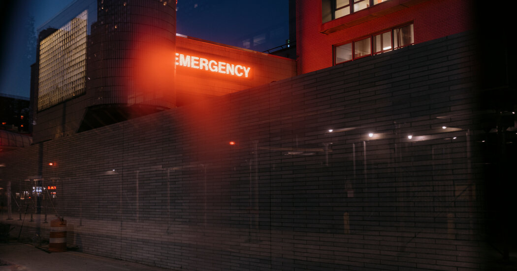 Featured image for "New York's Struggle to Bridge Gaps in Social Safety Net Revealed"