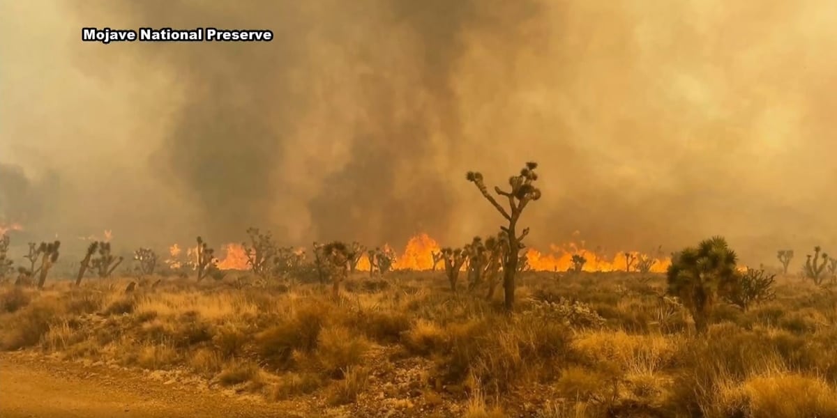 Wildfire Spreads Across State Border, Threatening Nevada