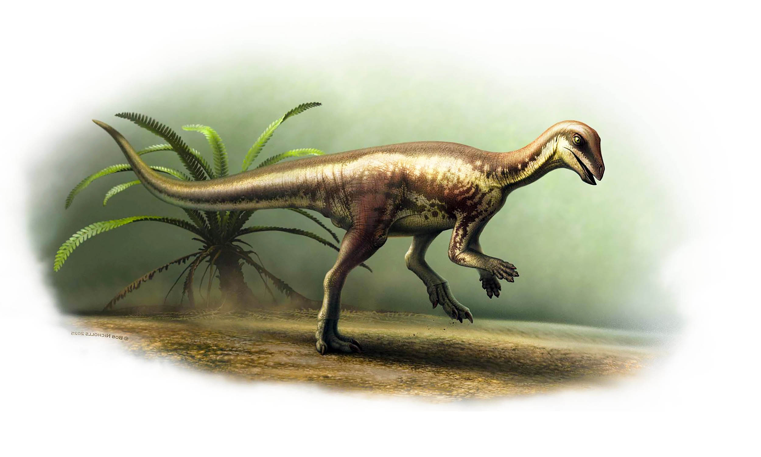 Featured image for Small Dinosaur Fossil Discovered in Colorado Baffles Scientists