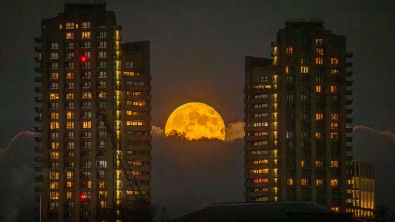Featured image for Catch the Year's Final Supermoon and Meteor Shower This Weekend