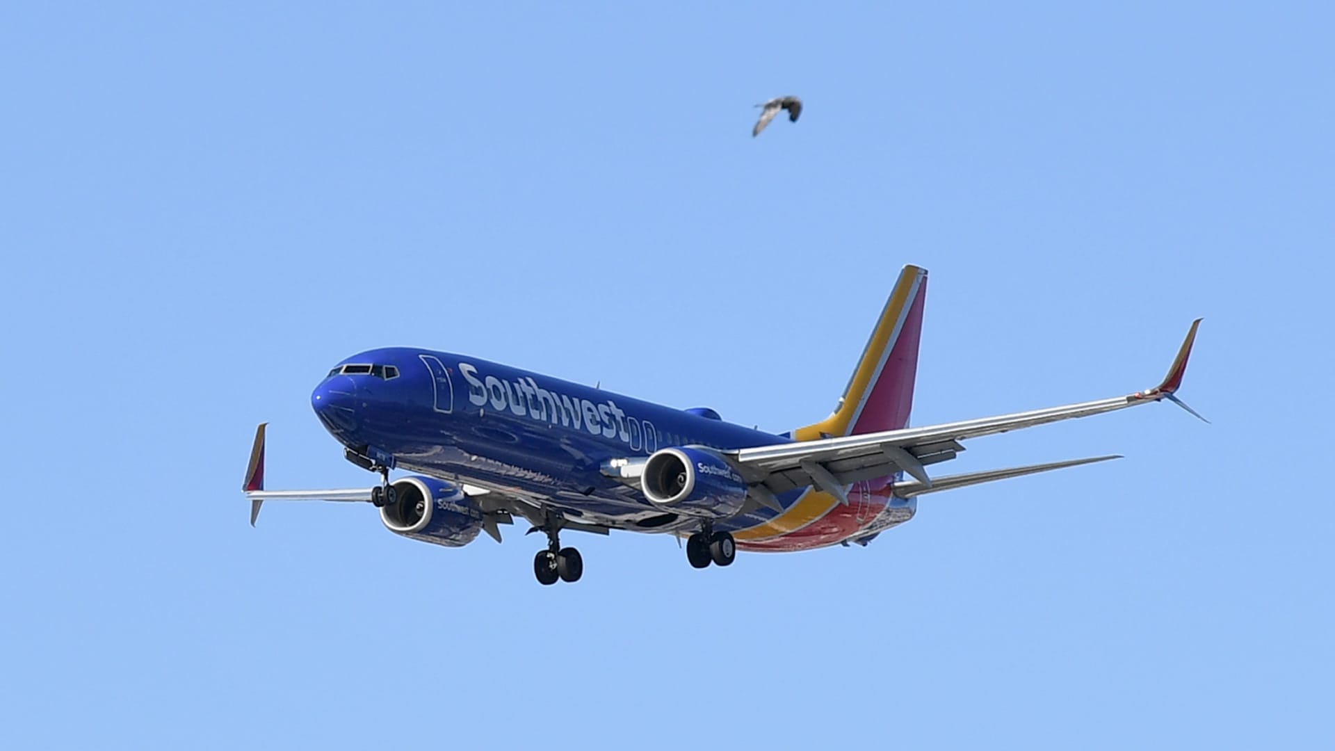 Featured image for Southwest Airlines' Q1 Losses Expected to Improve Despite Operational Issues.