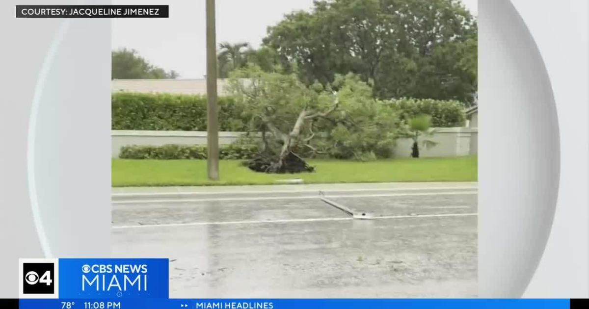 Featured image for Severe Storms Ravage South Florida, Disrupting Travel and Power Supply