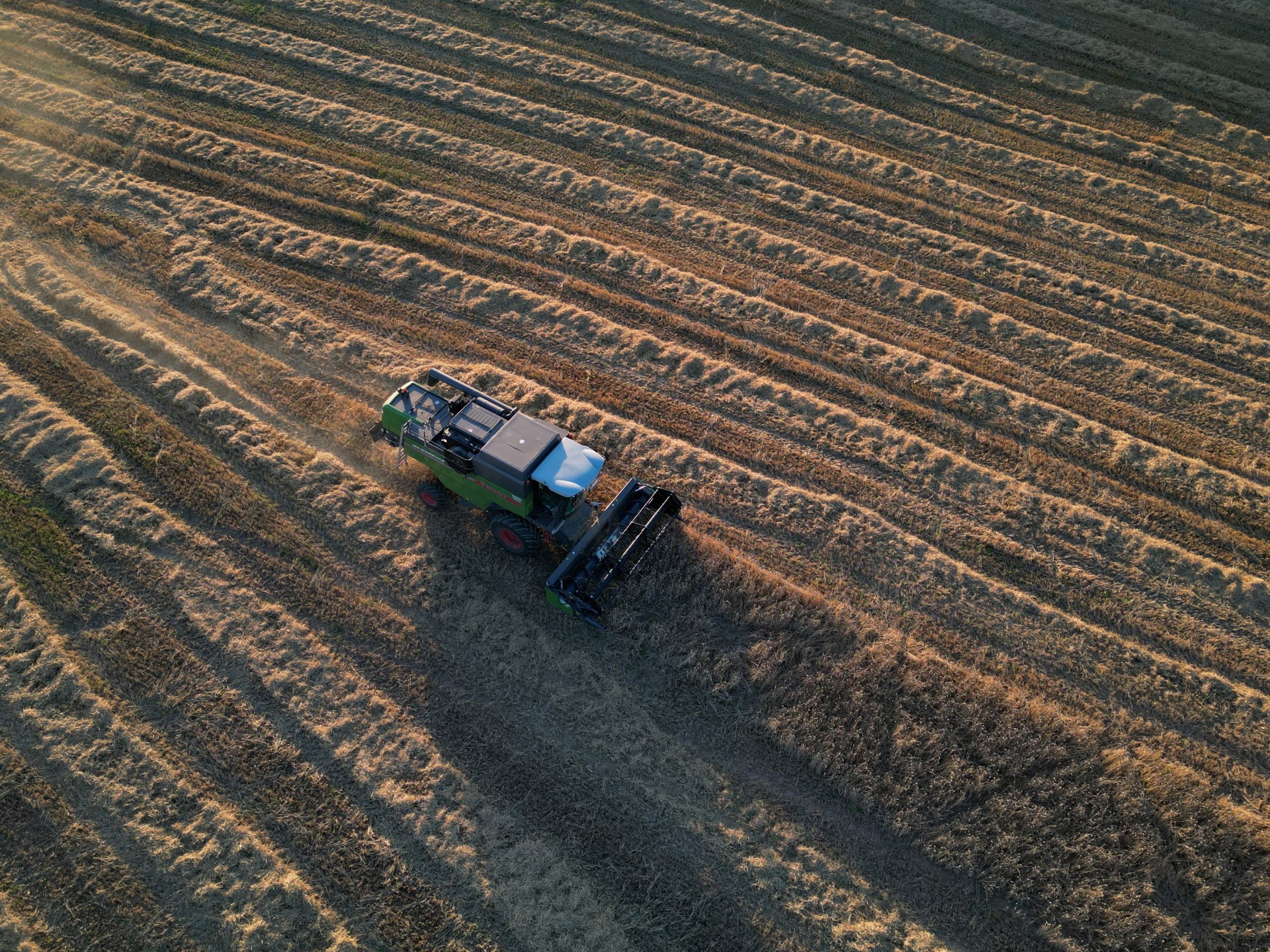 Poland's Threat to Extend Ukrainian Grain Ban Looms