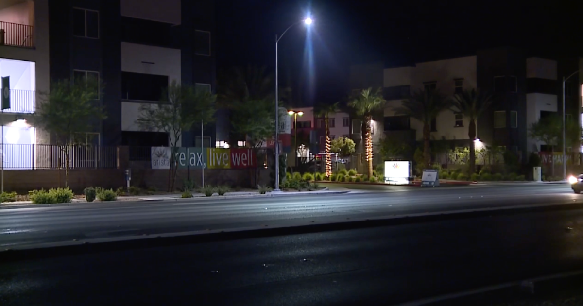 Tragic Las Vegas Murder-Suicide Unveils Shocking Discovery of Juveniles